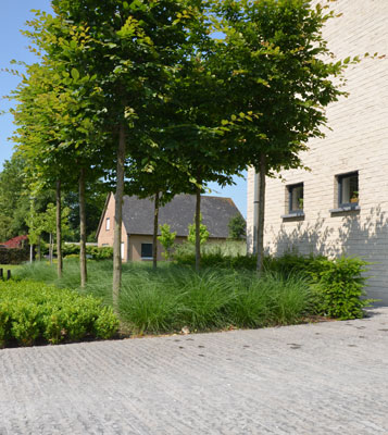 blog-image