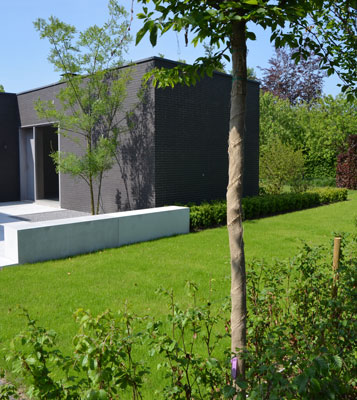 blog-image