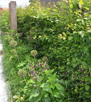 blog-image